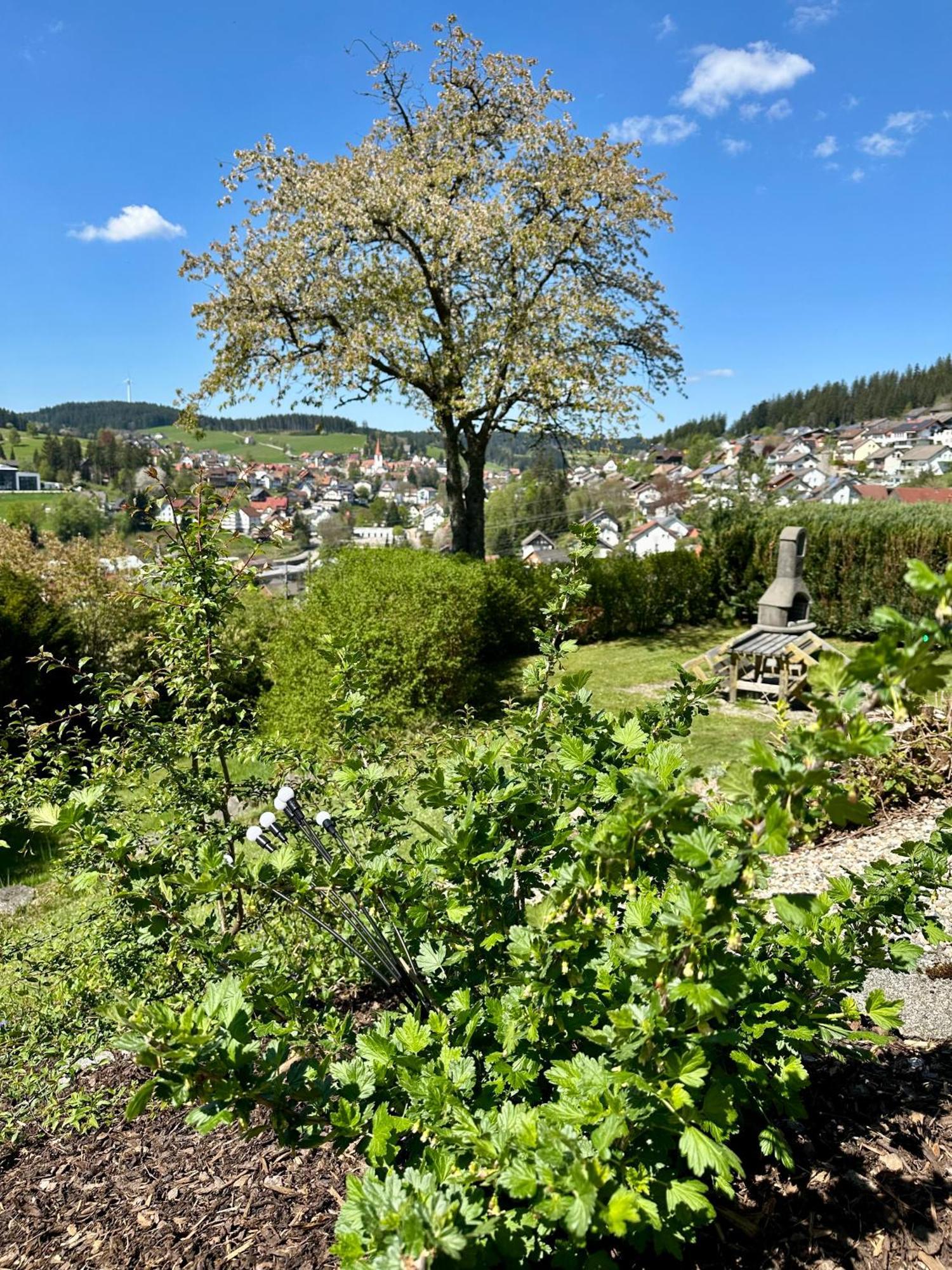 Sonneck Schonach Apartment Schonach im Schwarzwald Exterior foto