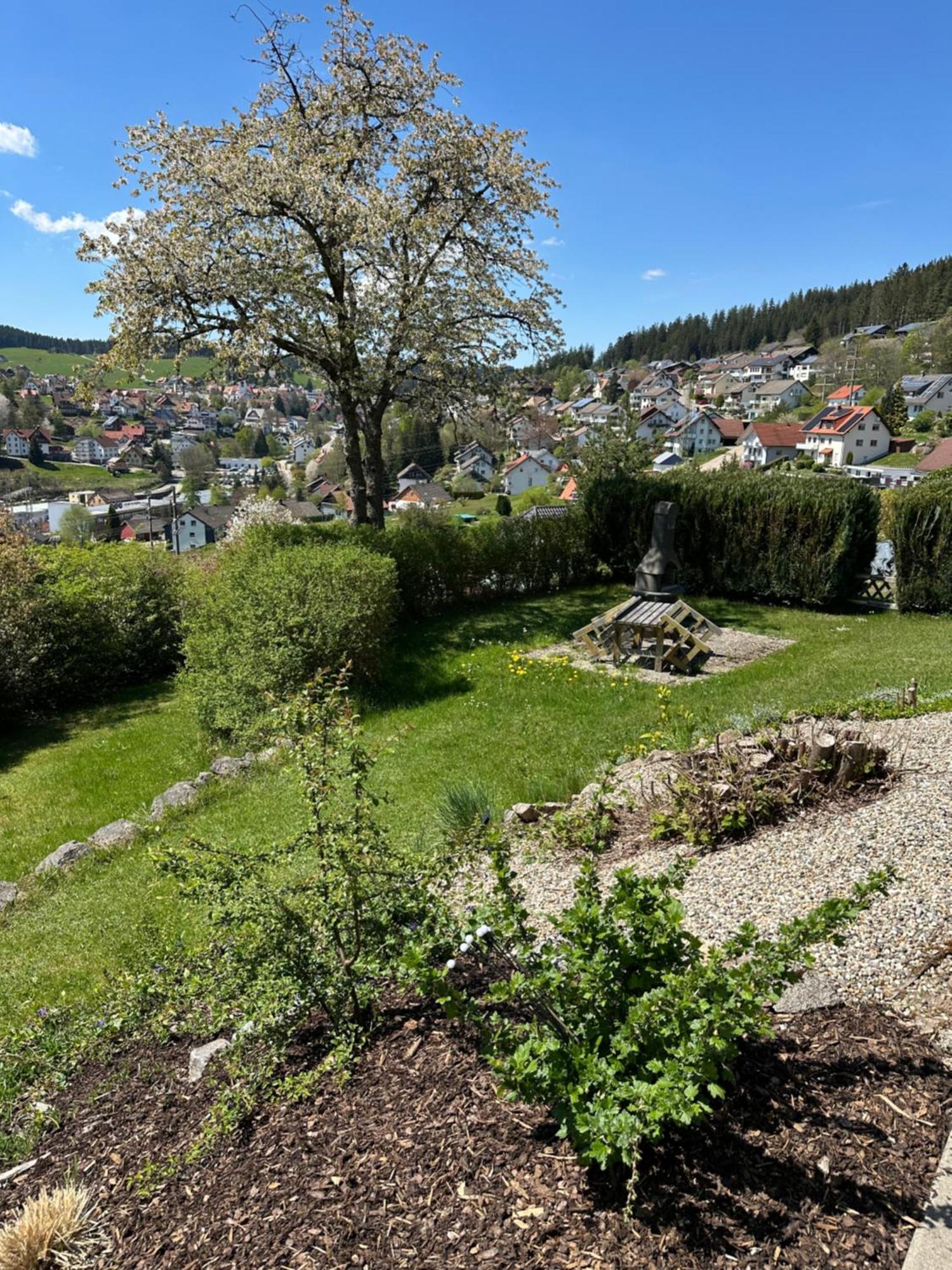 Sonneck Schonach Apartment Schonach im Schwarzwald Exterior foto